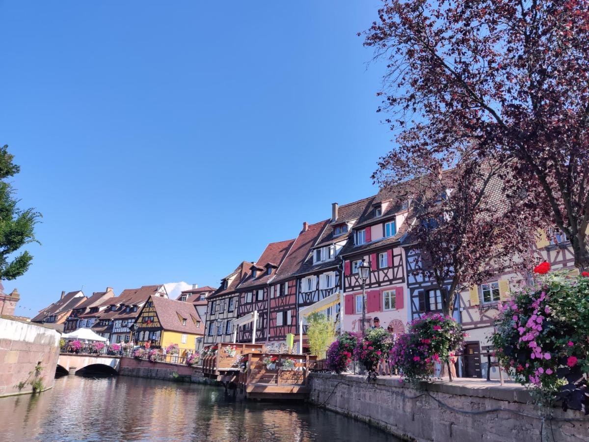 Au Kugelhopf Dore - Centre Historique Colmar Eksteriør billede