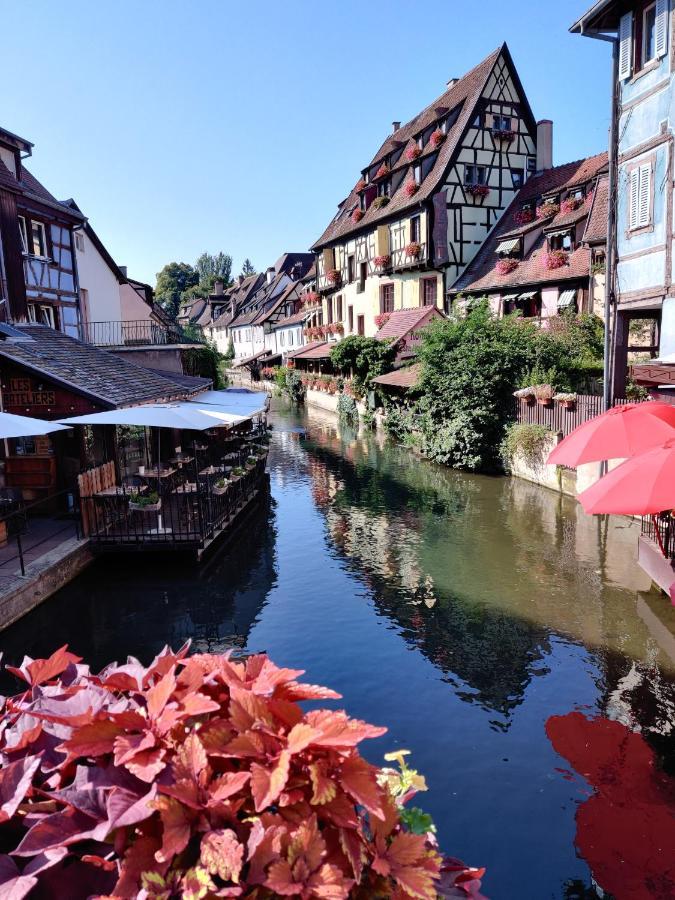 Au Kugelhopf Dore - Centre Historique Colmar Eksteriør billede