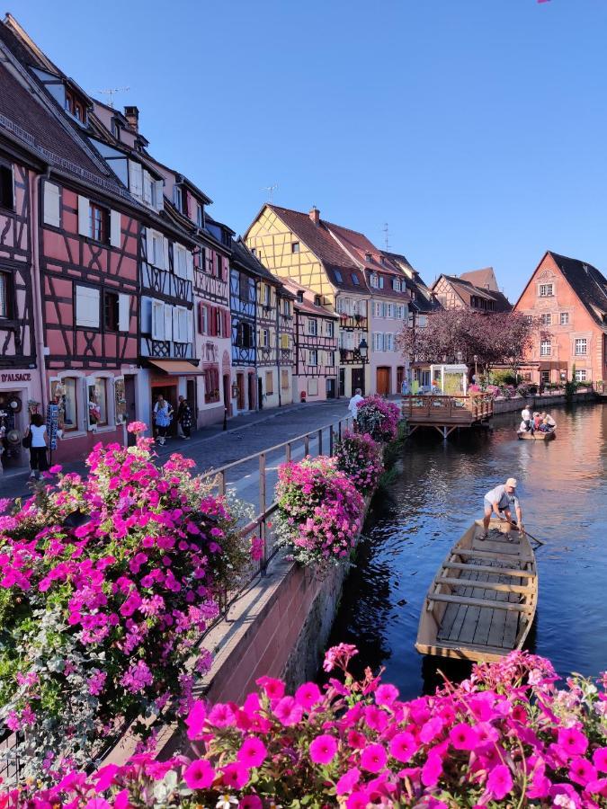 Au Kugelhopf Dore - Centre Historique Colmar Eksteriør billede