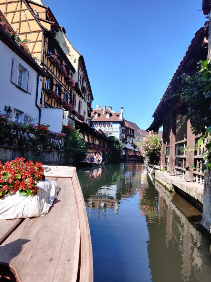 Au Kugelhopf Dore - Centre Historique Colmar Eksteriør billede